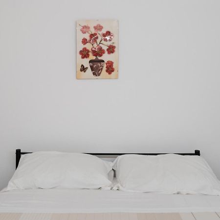 Sweet Apartment Chioggia Dış mekan fotoğraf